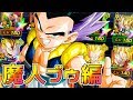 【ドッカンバトル558】ゴールデンウィークで確実に強化されるカテゴリ【Dragon Ball Z Dokkan Battle】