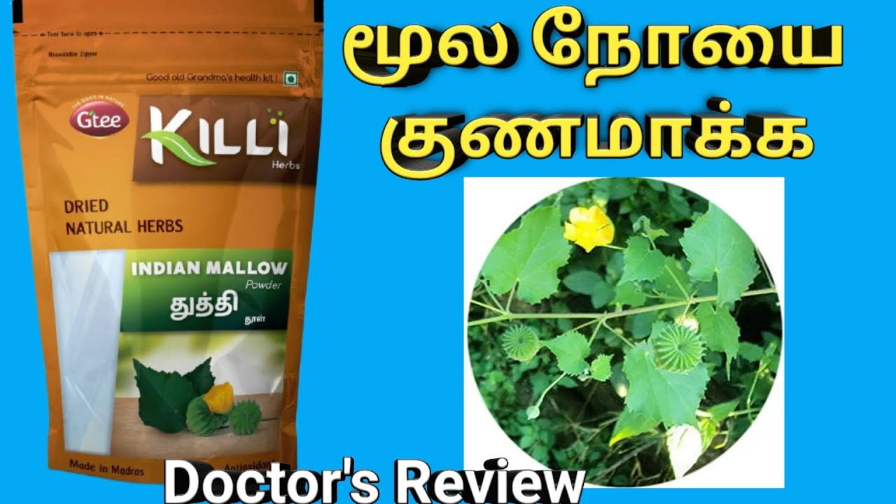 how to use thuthi leaf powder for piles in tamil, thuthi ilai uses