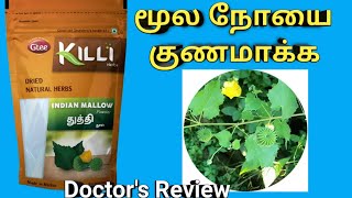 how to use thuthi leaf powder for piles in tamil, thuthi ilai uses, dosage,price துத்தி இலை மூல நோய் screenshot 5