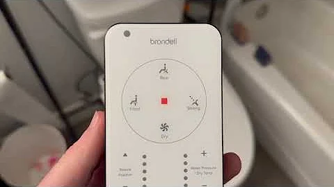 Up Close Look at This Brondell LE99 Bidet!