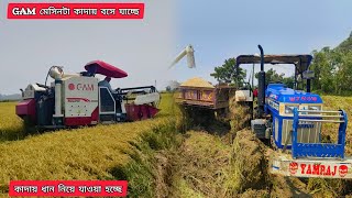 Swaraj 744xt and GAM 88 harvester stuck in mud🚜 #tractor #tractorvideo 