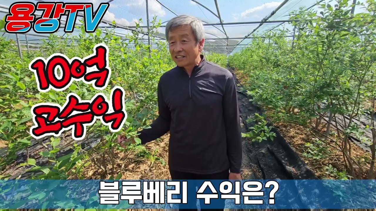 블루베리로 2022년 10억매출 달성 여의리마을 