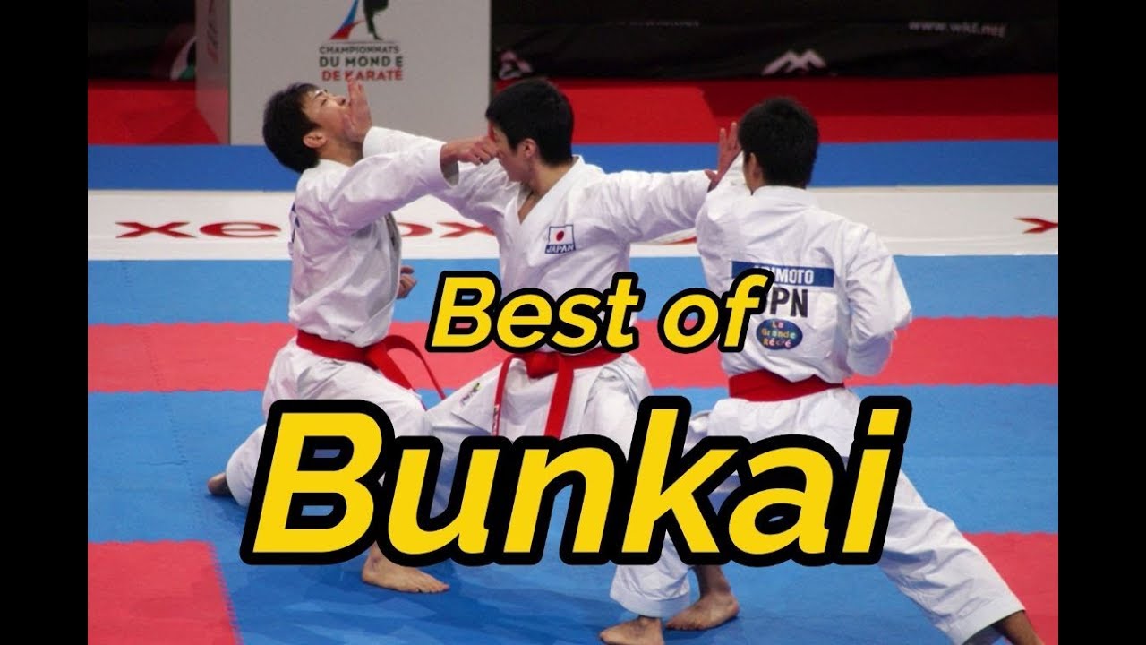 Download Best Of Bunkai Karate
