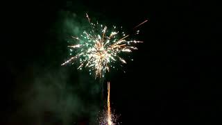 Volt - Law Of The Jungle. Verbund In F2. Neuheit 2026. Feuerwerk, Pyrotechnik, Vuurwerk, Fireworks