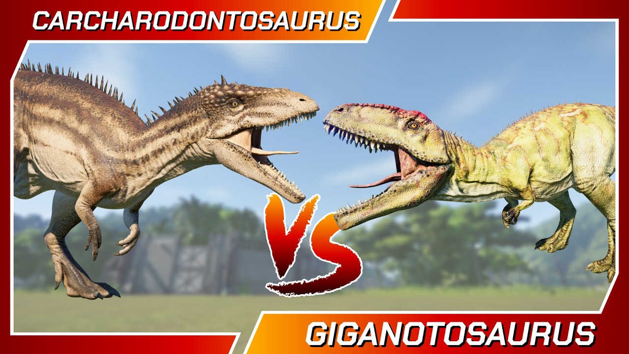 Dinosaurs Battle CARCHARODONTOSAURUS Vs STEGOCERATOP - Jurassic World Evolution