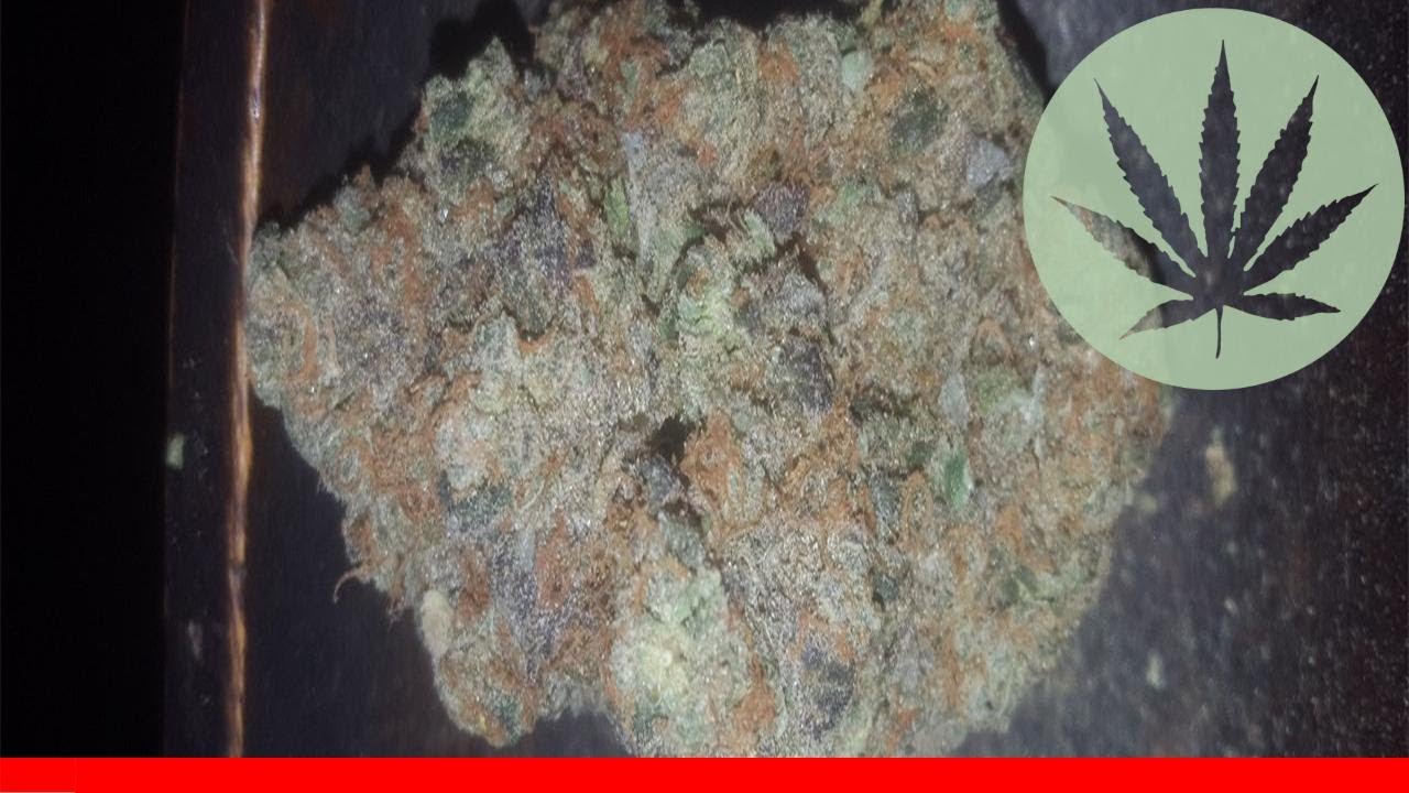 Alpha Blue - All About This Strain