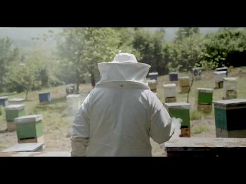 JWT Metro - ევროკავშირი საქართველოსთვის