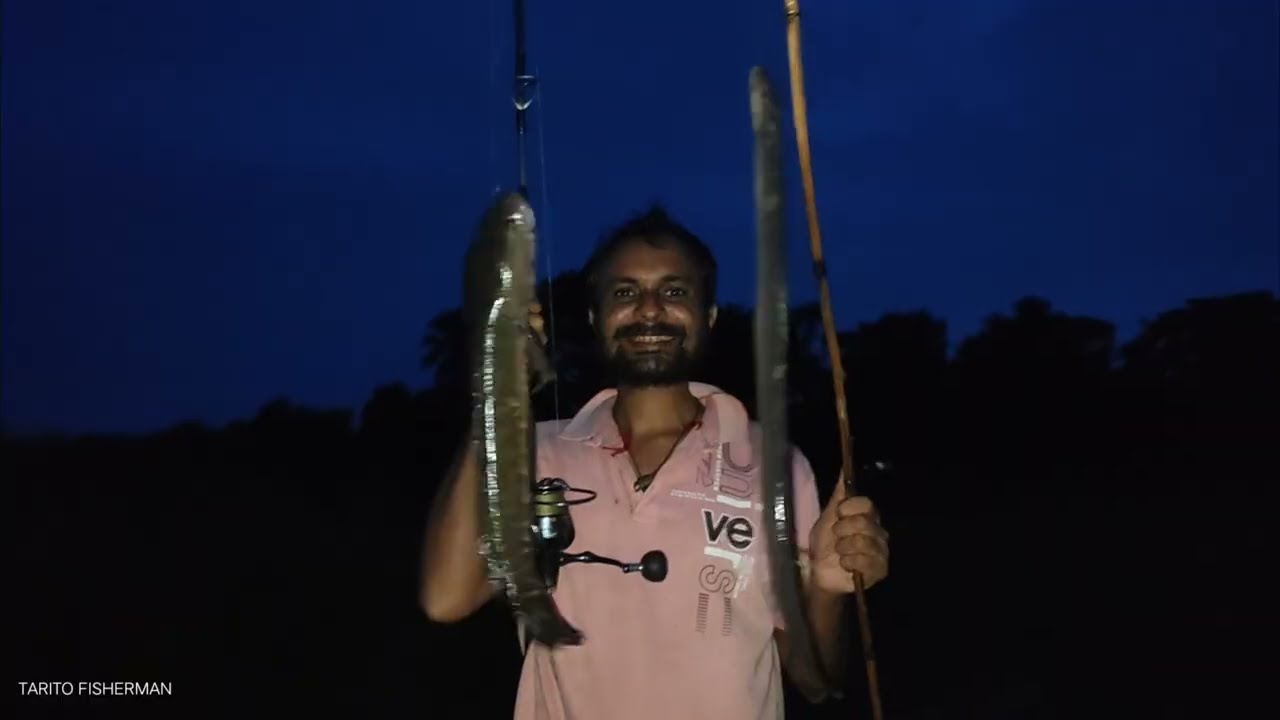 Broken Line Drama! Snakehead, Eel & Catfish Battles in Tarito Jungle Night! 🐍🎣