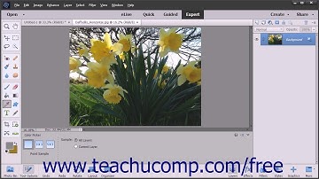 Photoshop Elements 15 Tutorial Selecting Colors with the Color Picker Tool Adobe Training