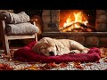 12 Hours Of Dog Calming Music🎵Ultimate Calming Music for Dogs💛Easing Separation Anxiety&amp;Stress Music