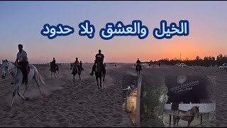 ماهو سر اهل الخيل وعدم ترك هوايتهم