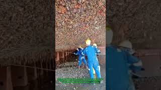 Barnacle Removal Hack: 200% Faster Boat Scraping