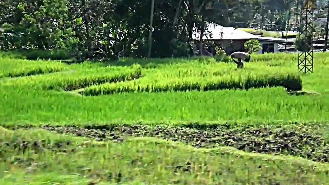 Train Ride through Sumatra
