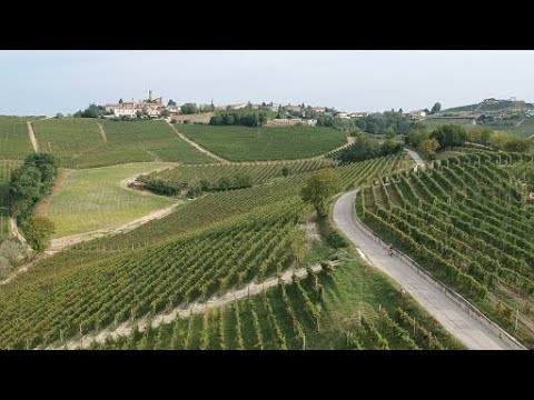 Visiting the Barolo Wine Region