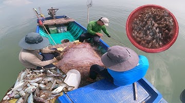 Cuộc Sống Dân Biển | Đi Biển Kiếm Hải Sản, Dính Ốc Gai Quá Trời, Tôm Thẻ Loại Nhất | #213