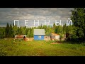 Пенный. Фильм второй