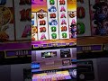 🙄🙄🙄 #slotscasinogames #slots #casino #gambling #buffaloslot #ballysdover