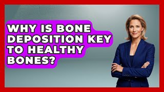 Why Is Bone Deposition Key To Healthy Bones? - All About Anatomy Answers
