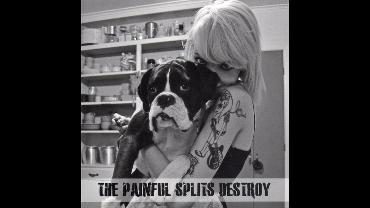 Max Bemis & The Painful Splits - The Painful Splits Destroy (FULL ALBUM) [2011]