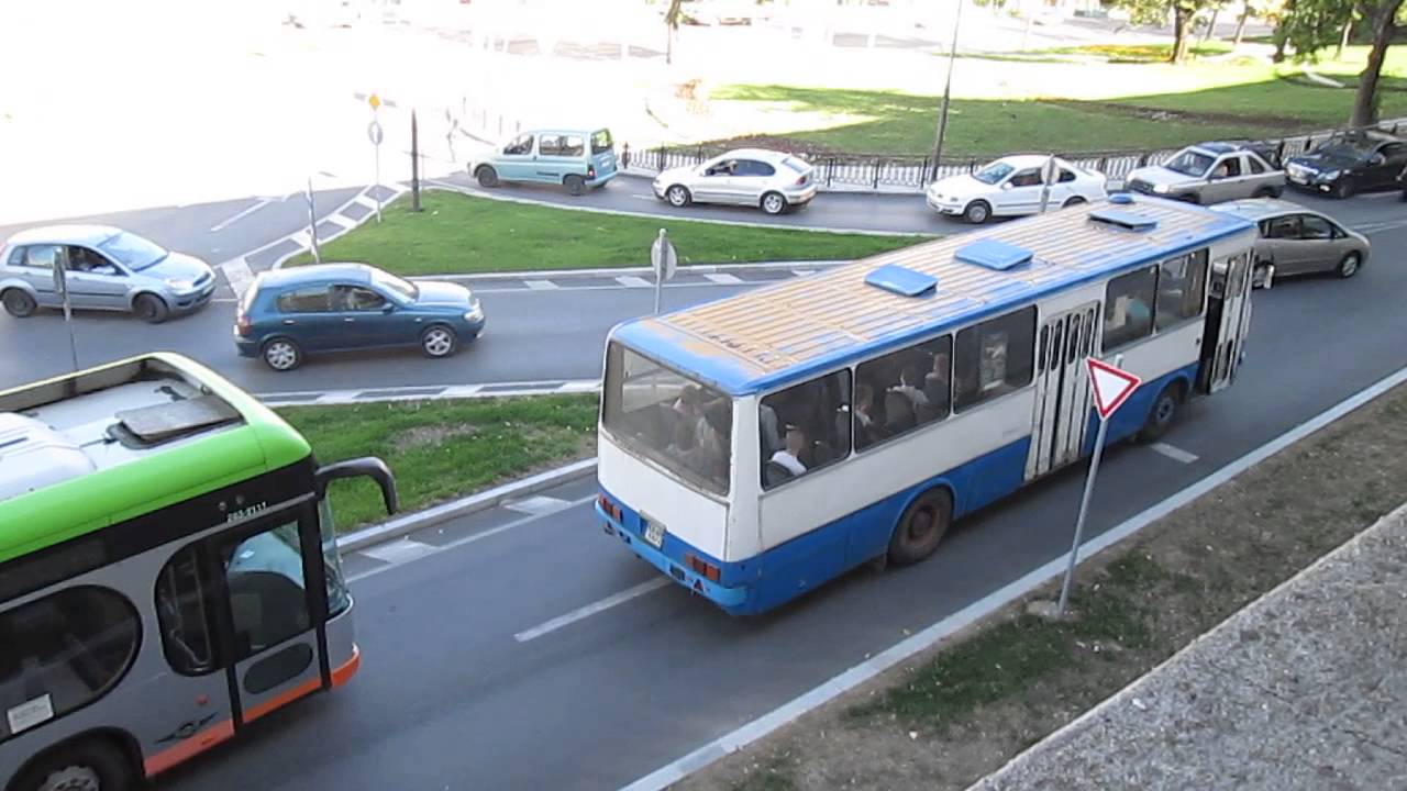 Автобус и автомобиль
