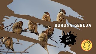 Nugie - Burung Gereja (Lirik)