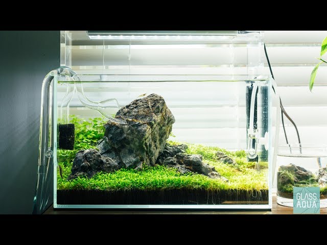 Ultum Nature Systems 5N - 5 Gallon Nano Planted Aquarium - YouTube