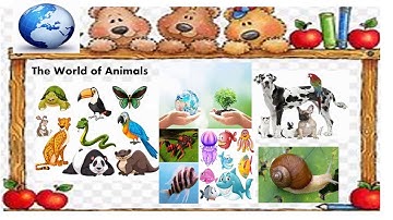 Q2 Earth Science-11  Virtual Learning Class