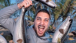 видео: Ищу самую крупную рыбу в 3 разных играх картинка: Ищу самую крупную рыбу в 3 разных играх