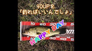 2020年10月12日  霞ヶ浦系。9月のデコのリベンジ、倍返しだ!!