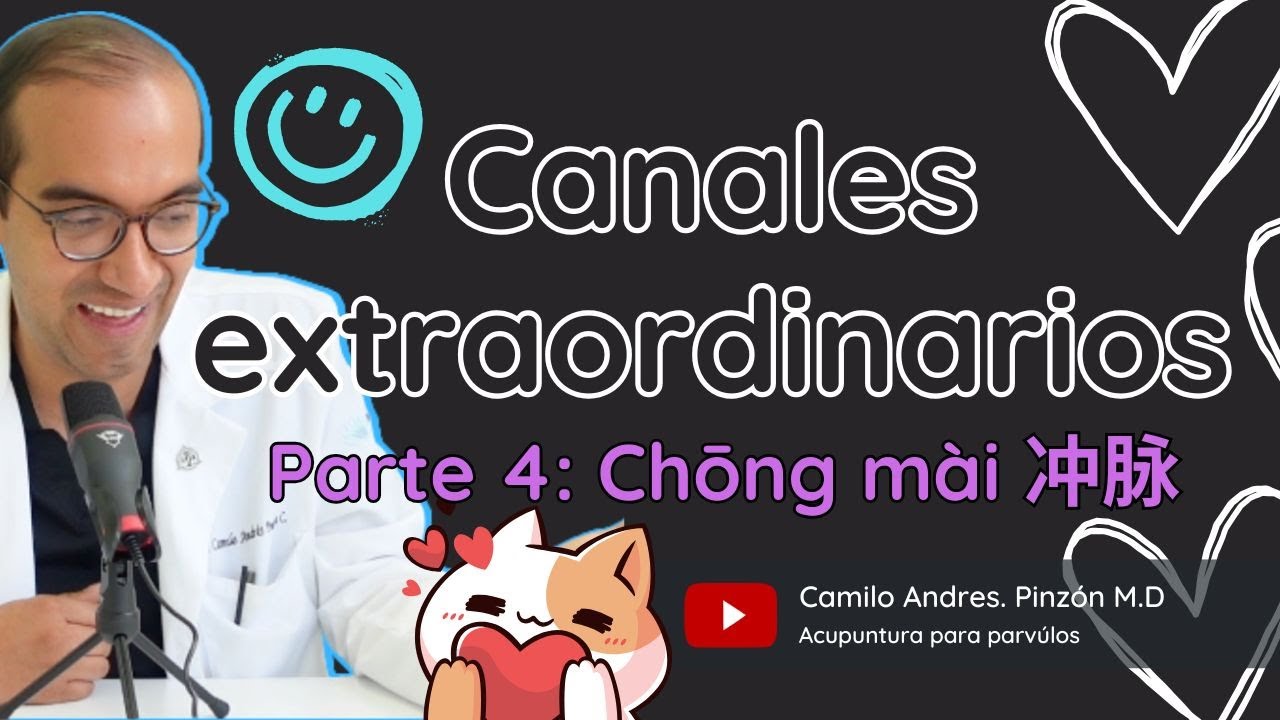 Chōng mài 冲脉 - CANALES EXTRAORDINARIOS ( PARTE 4)| Acupuntura para párvulos