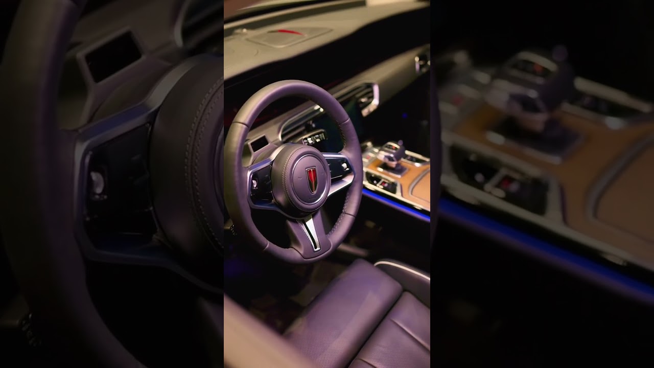 HONGQI E-HS9 | Панавто