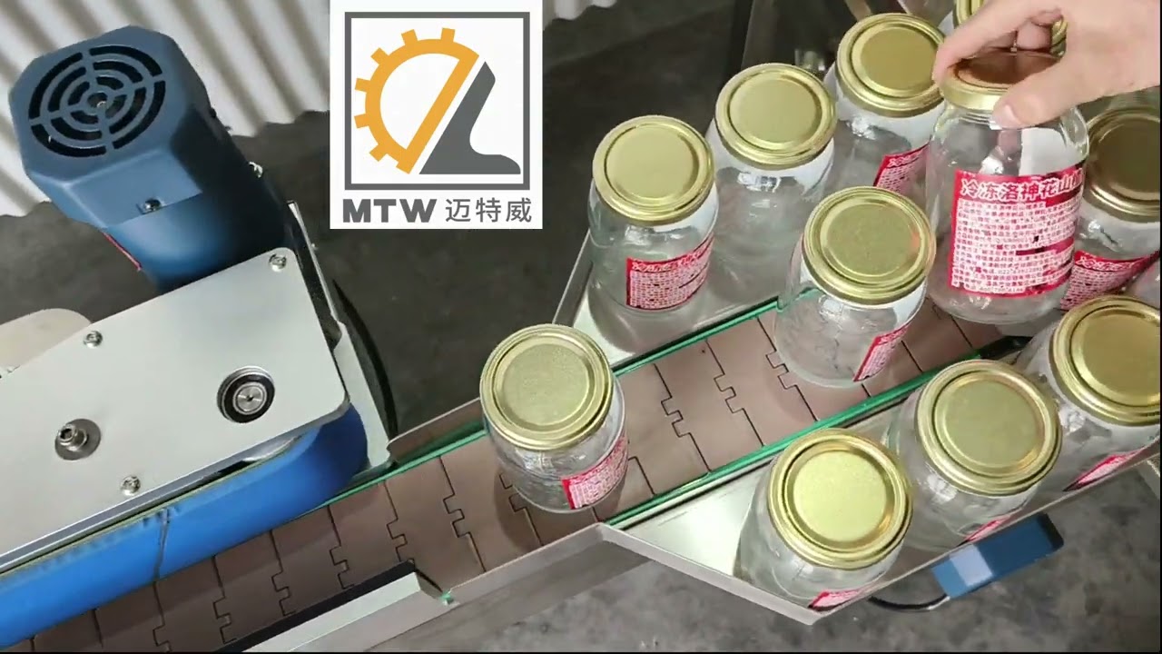 MTW  automatic blue belt labeling machine