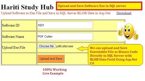 Upload Software Exe File into SQL Server as BLOB Data with Asp.Net C# | Hindi | Free Online Learning