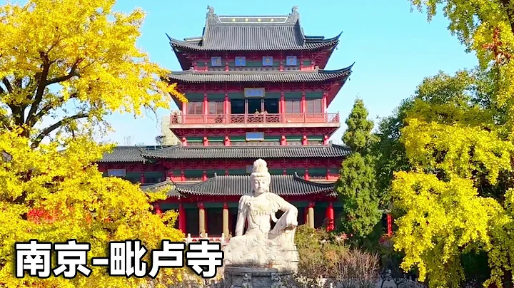 江南賞秋南京毗盧寺！鬧中取靜南京秋景的靈魂，千年銀杏和觀音像更是讓人流連忘返！【行走世界的北京老劉】 - 天天要聞