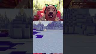 Kutup Ayısı Beni Puf Yaptı