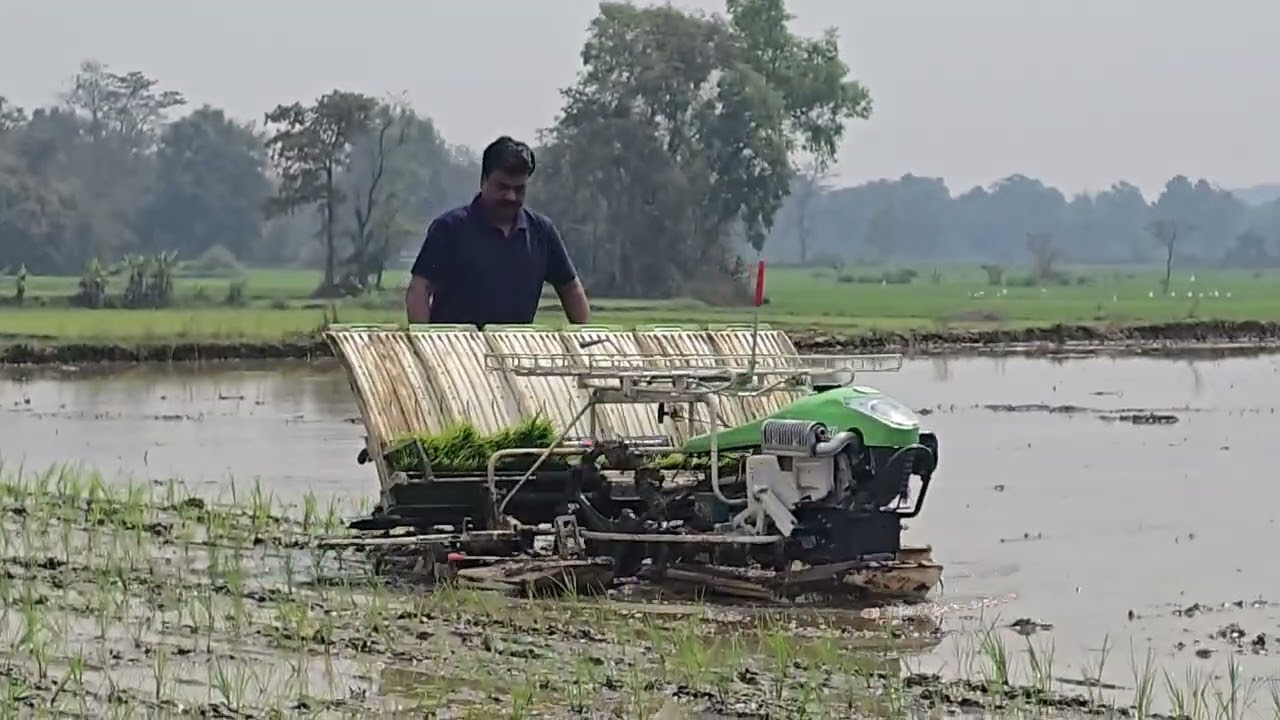 Paddy transplantar machine