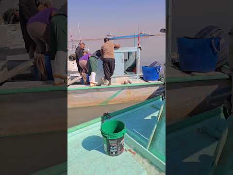 أسماك بيت الفاو البحريه البحريه كافه محافظات رقم الحجز 07719534919