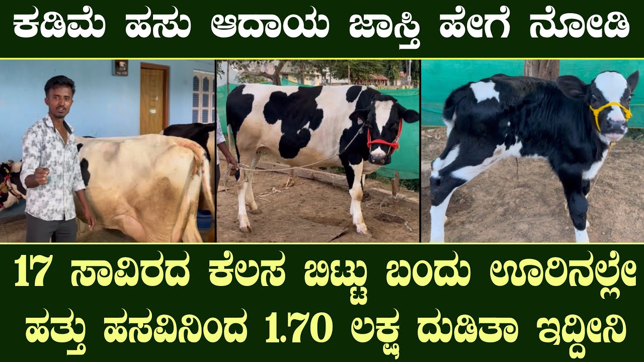 Call 9742446768 ಕೇವಲ ಹತ್ತು ಹಸುವಿನಿಂದ  ತಿಂಗಳ 1.70 ಲಕ್ಷ ದುಡಿಯುತ್ತಿರುವ ಯುವಕ| sucessfull young farmer