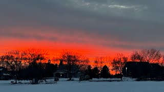 No Ones Gonna Love You Like I Can  Laura Marling 2024