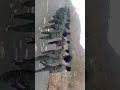 ፋኖ በለውማ 