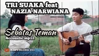 TRI SUAKA feat NARZIA NARWIANA || Sebatas Teman mp3