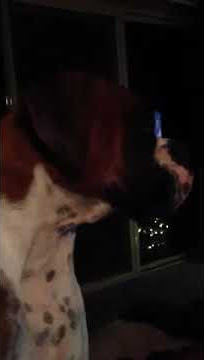 Kisses for Aunty Becki xxx