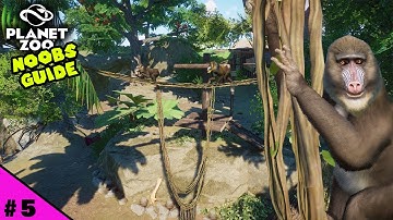 Education Talk Points & Raised Path Techniques | Planet Zoo Beginners Guide 2023