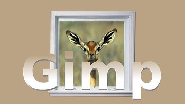 How to add a animation to an image in Gimp 2.8.10 (Re-explained)