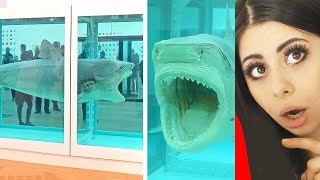 Details Ridiculous People Who Bought EXPENSIVE Things Online ! News