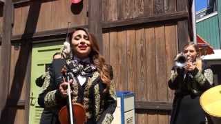 Video thumbnail of ""SABOR A MI" (Spanish) "BE TRUE TO ME" (English) by Mariachi Divas"