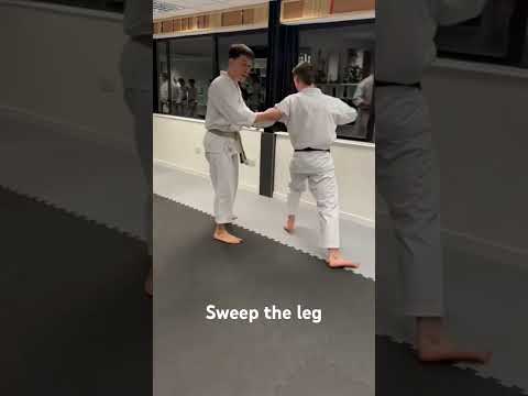 Karate High School - Sweep the Leg
