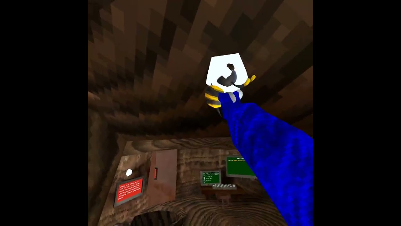 Playing Rocky Taggers 