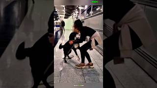 Truelove #trending ##smartdog #trending #pets #puppy