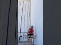 No sign of Trump's name on Kennedy Center red carpet